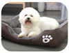 MIĘKKIE LEGOWISKO L 45x30 dla psa kota ciepła poduszka kojec kanapa