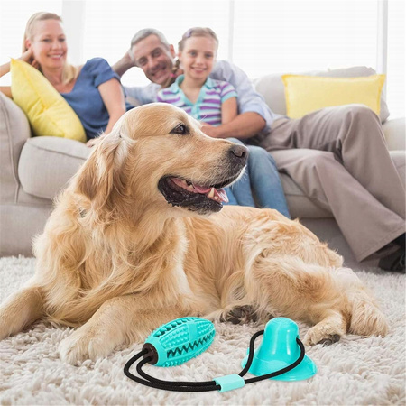 ZABAWKA DLA PSA GRYZAK Z PRZYSSAWKĄ NA PRZYSMAKI GUMOWY SZARPAK NA SZNURKU