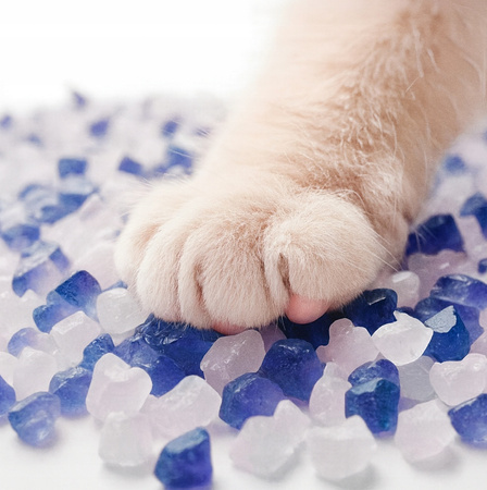 ŻWIREK SILIKONOWY DLA KOTA 1,5kg niezbrylający 3,8L bezpyłowy wydajny