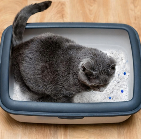 ŻWIREK SILIKONOWY DLA KOTA 1,5kg niezbrylający 3,8L bezpyłowy wydajny