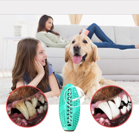 ZABAWKA DLA PSA GRYZAK Z PRZYSSAWKĄ NA PRZYSMAKI GUMOWY SZARPAK NA SZNURKU