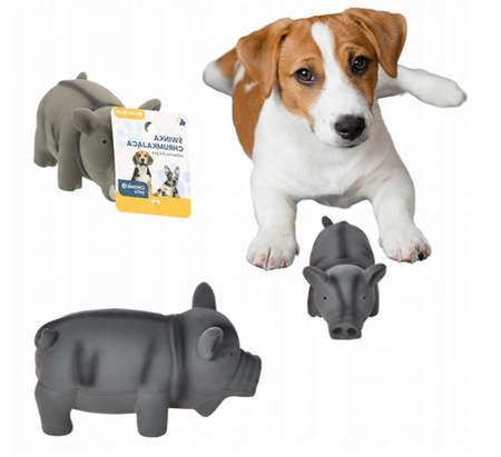 ZABAWKA DLA PSA chrumkająca świnka guma zabawka 1 szt. gryzak MIX