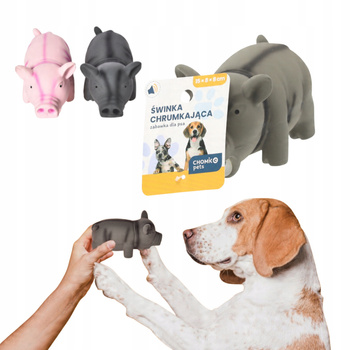 ZABAWKA DLA PSA chrumkająca świnka guma zabawka 1 szt. gryzak MIX